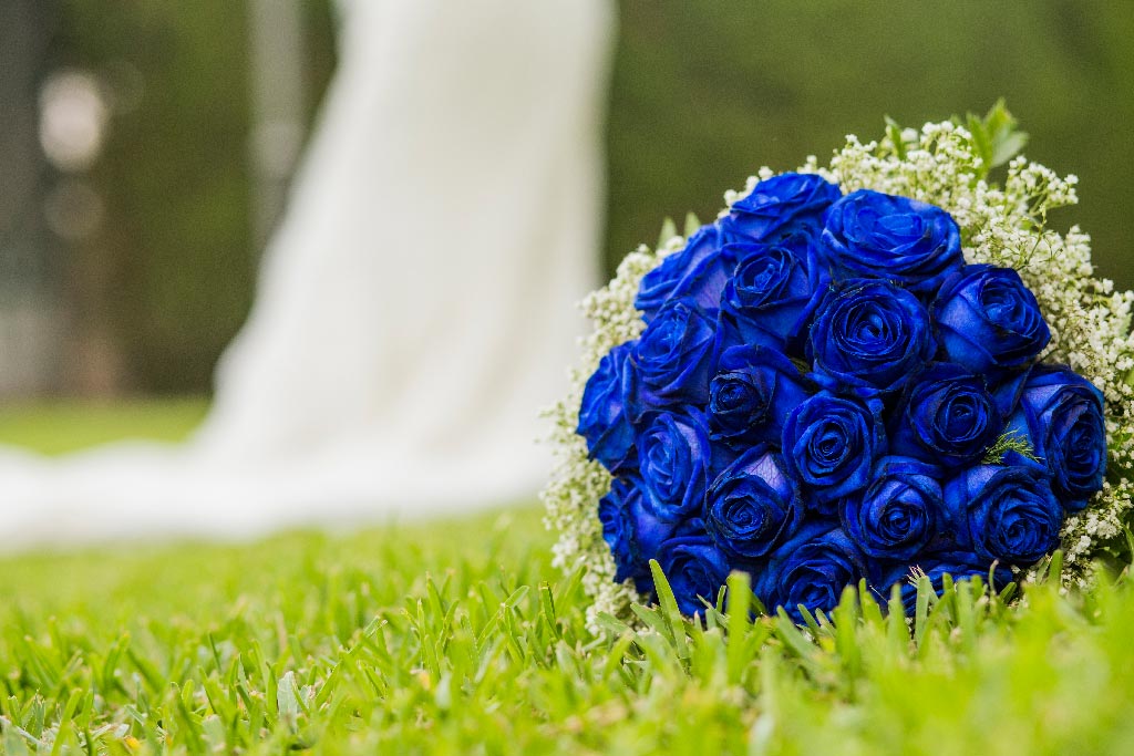 Cómo teñir un ramo de rosas en color azul - Adornos florales de novias  originales - Hazlo tú mismo - DIY